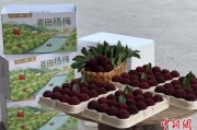 梦见忧愁高速赋能产业升级：一条“杨梅路”的致富密码